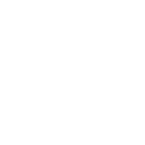 Chizzl'd Beauty